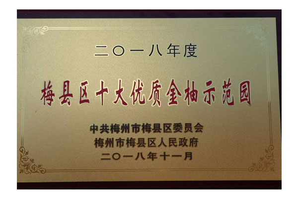 2018年梅县区十大优质金柚示范园