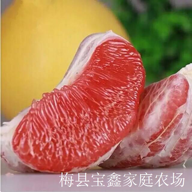 “山果树”富硒有机红肉柚细节图